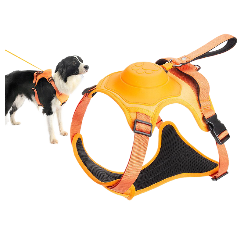 Retractable dog leash with harness, view 4