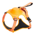 Retractable dog leash with harness – Orange, M